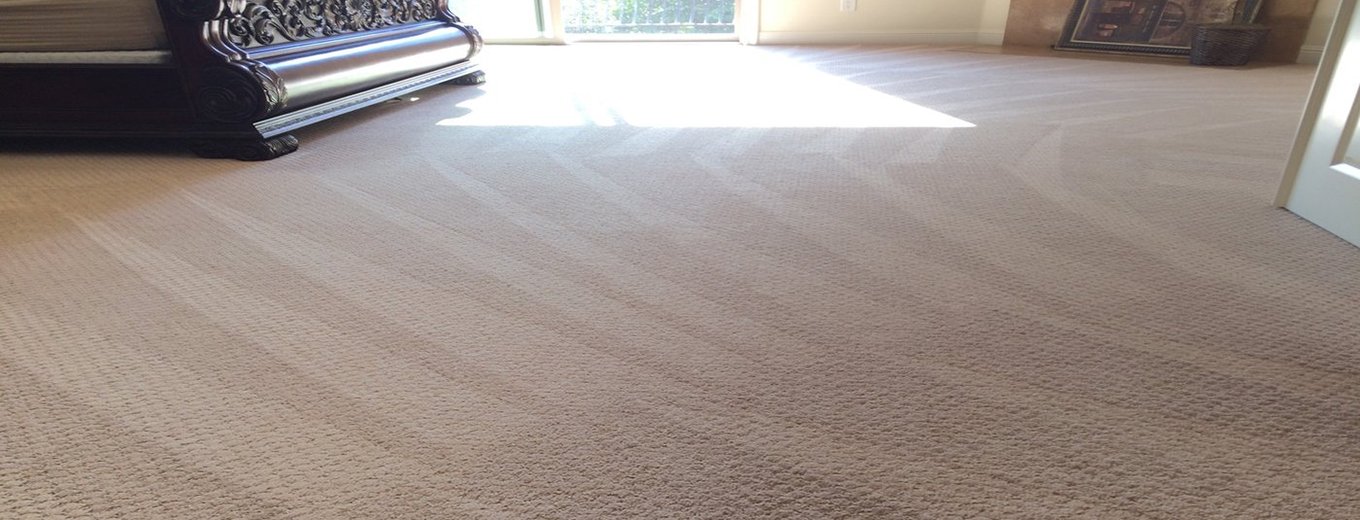 Best Quality Carpet Cleaning Service