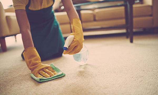 Orange County Spot & Stain Cleaning