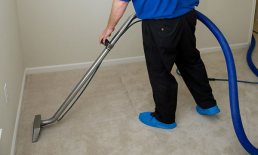 Carpet Stain Removal & Steam Cleaning