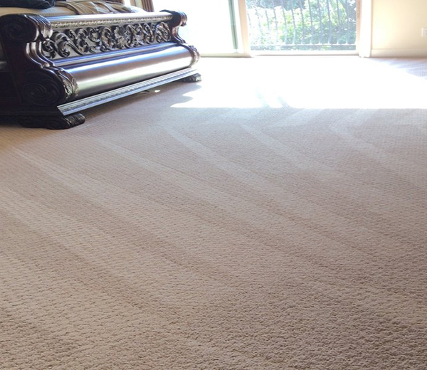 Carpet Cleaning Orange County Ca Upholstery Area Rugs Tile