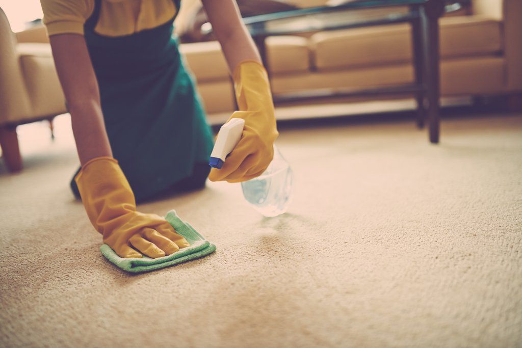 Pet_stain_and_odor_removal_1024x