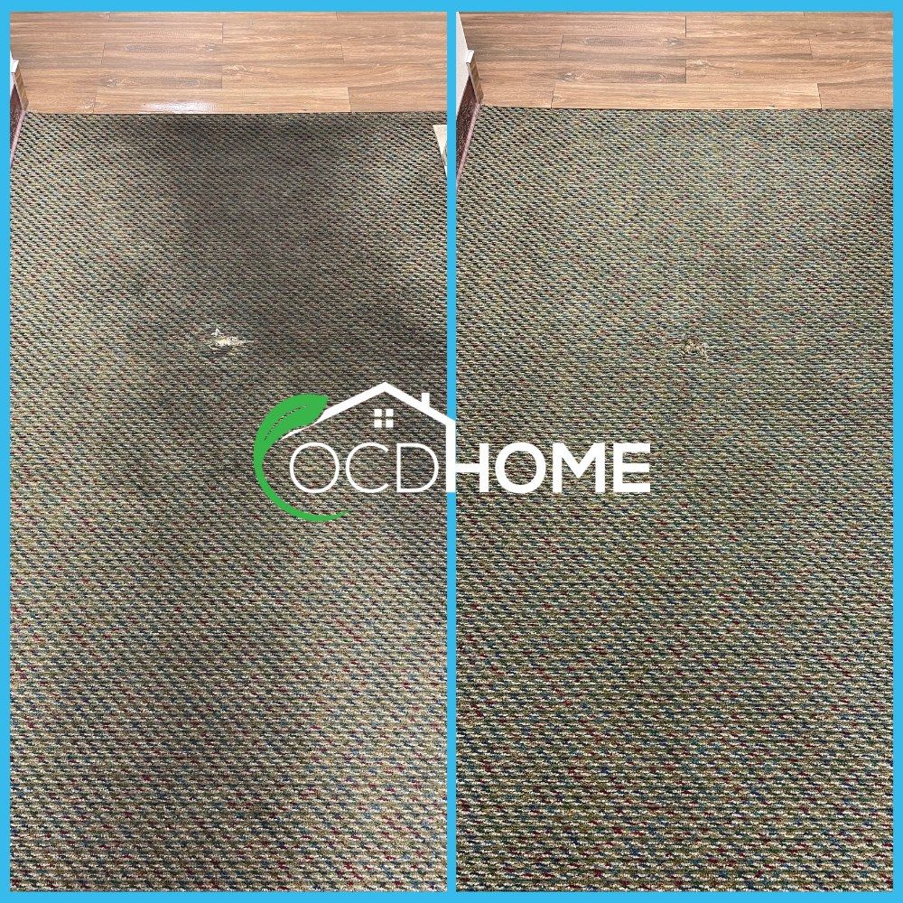 Experienced Carpet Cleaning Results