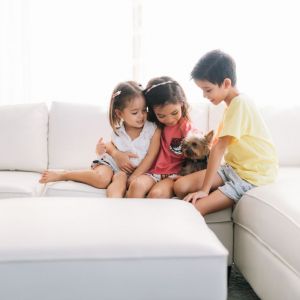 What is the average cost of Odor Removal in Fullerton, CA?