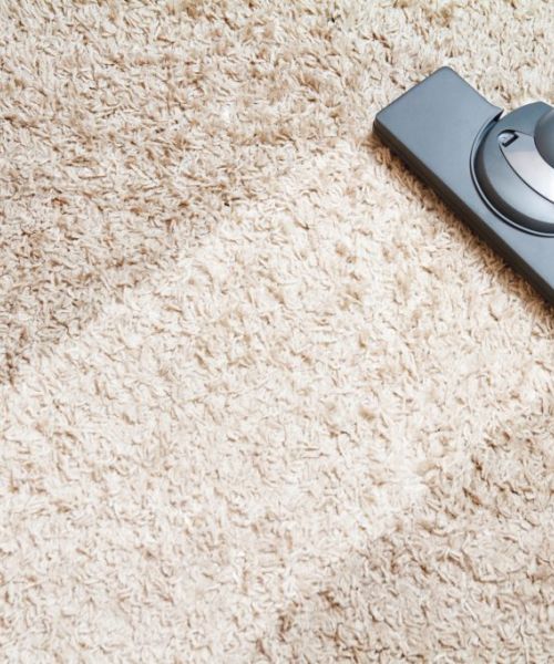 Oc Carpet Cleaning 1024x683 1