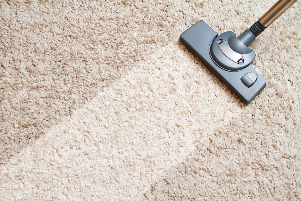 Oc Carpet Cleaning 1024x683 1