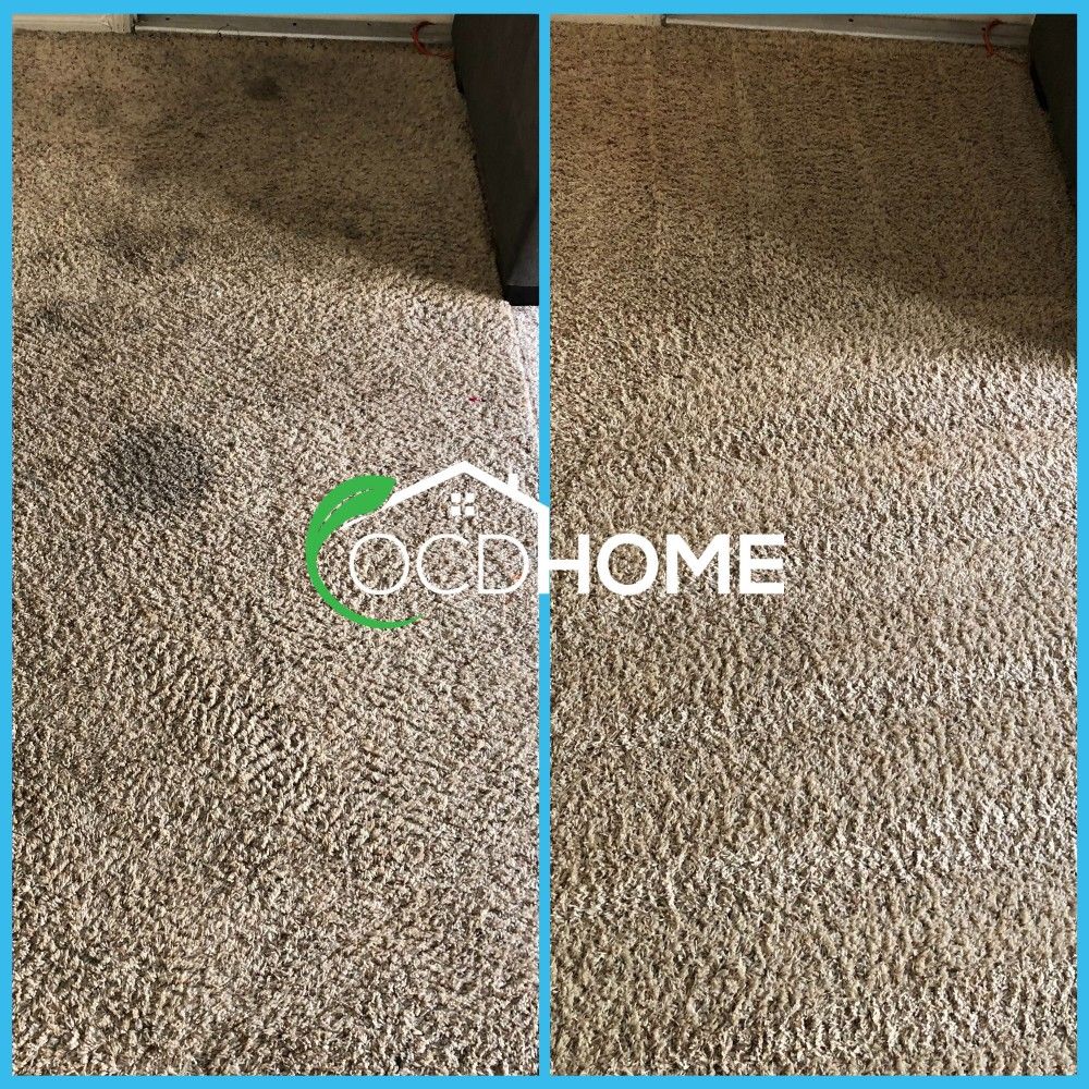 Experienced Pet Stain and Odor Removal Results