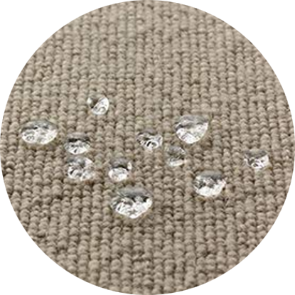 Best Carpet Cleaning Services