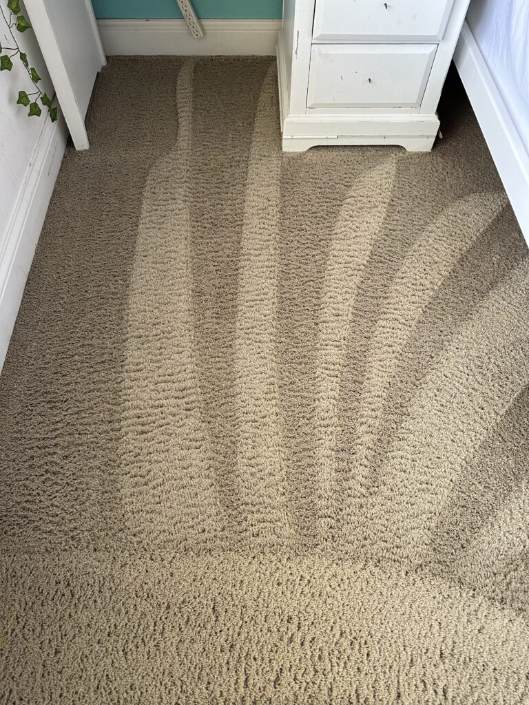 Professional Carpet Cleaners Near Me