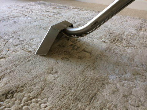 5 Benefits of Hiring Professional Carpet Cleaners – North Star Chem-Dry