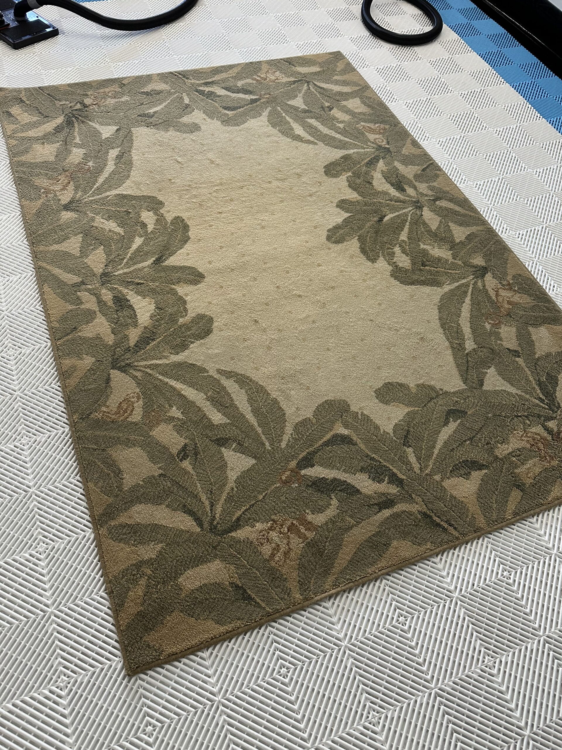 OC Rug Cleaning Services