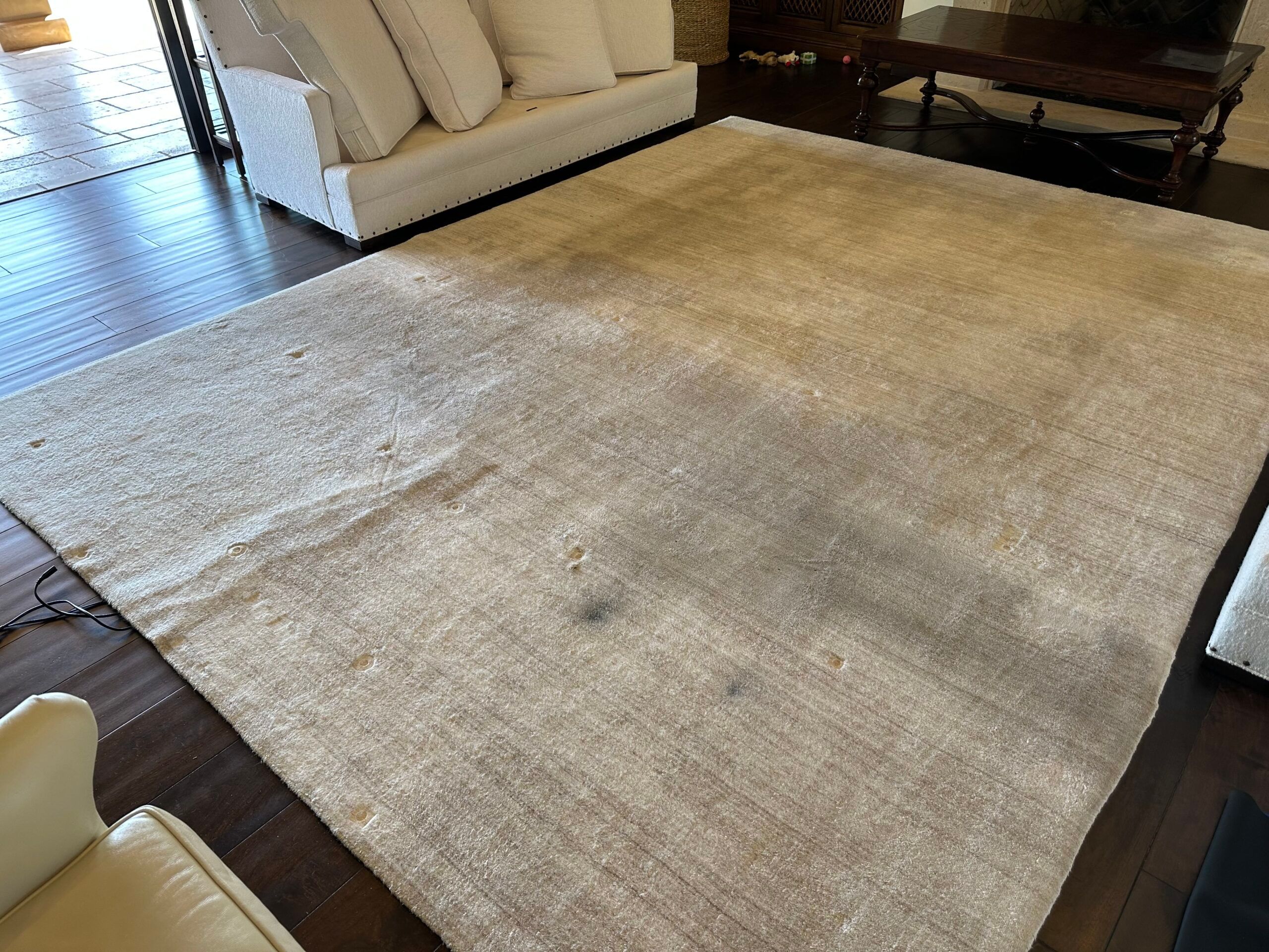 Area Rug Cleaning Results Before