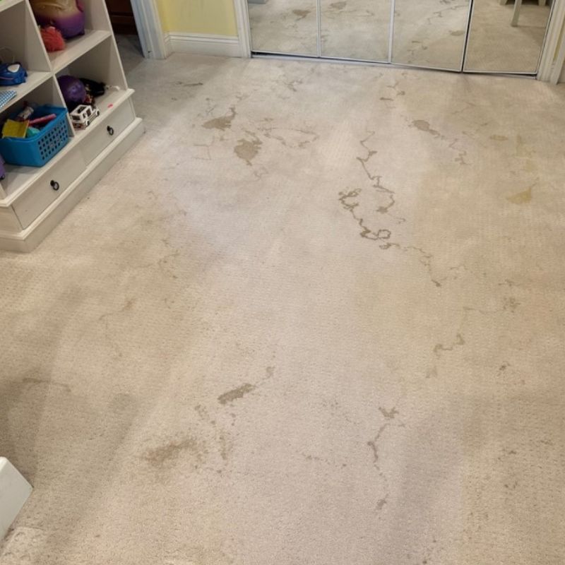 Pet Stain Odor Removal Results Before